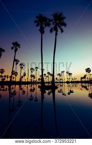 Palm Trees Are Reflecting On Water At Sunrise Timing Under Colorful Sky Located North Of Thailand