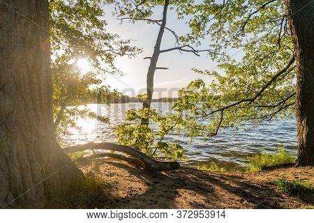 Beautiful Sunset View Between Trees On Ukiel Lake In Olsztyn, Poland.