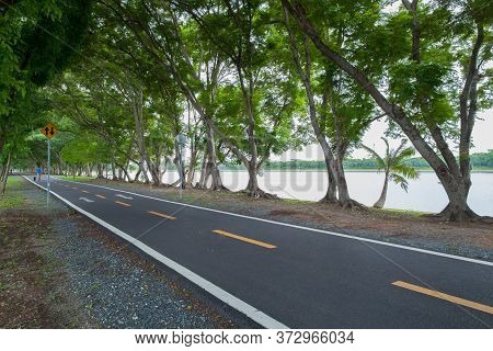 Empthy Running Lanes Of Road In Park Between Tree At Sunset Timing Location At Bangkok Thailand