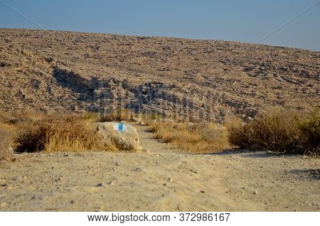Wadi Kelt Or Nahal Prat, In The Judean Desert, Israel. Early Autumn In A Nature Reserve. Selective F