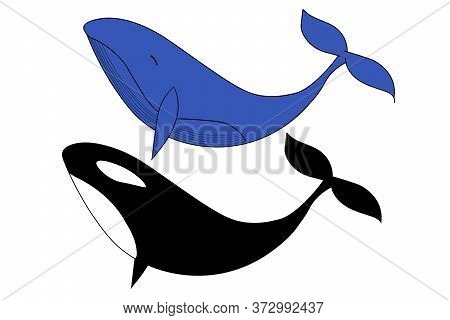 Set Of Whale And Black Orca, Killer Whale. Template For Background, Banner, Card, Poster. Vector Eps
