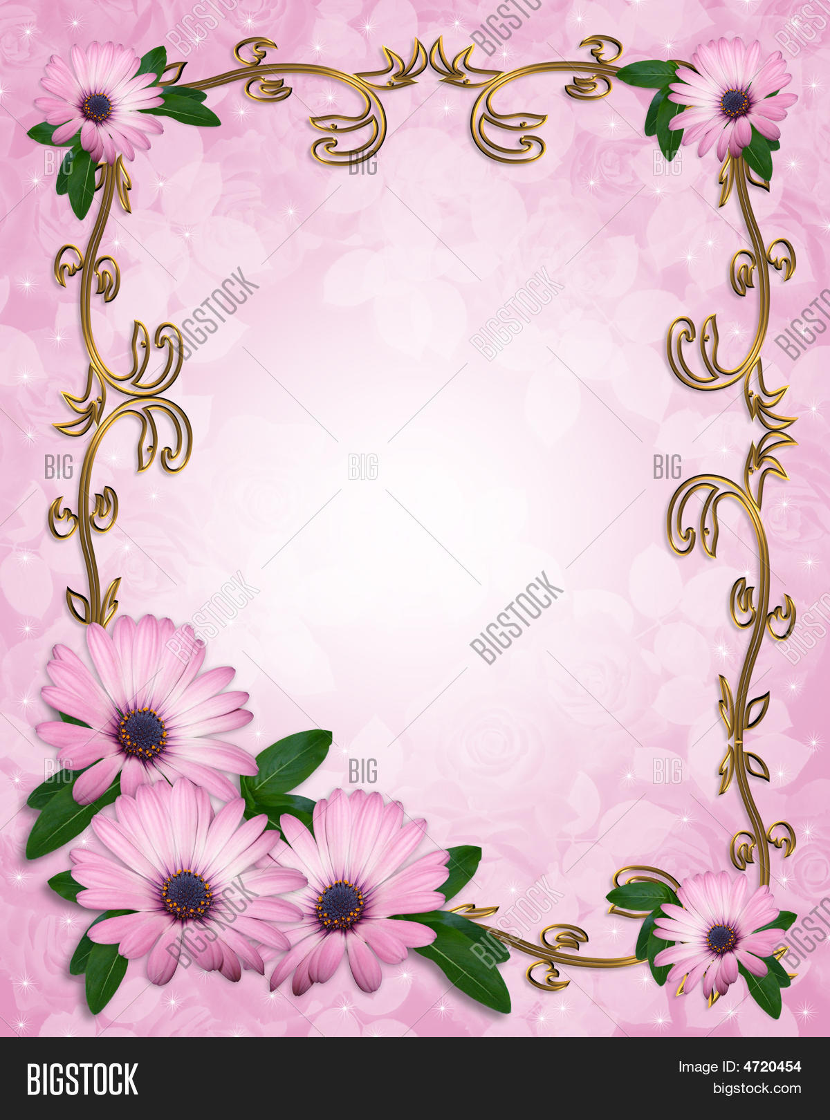Daisy Border Elegant Image & Photo (Free Trial) Bigstock