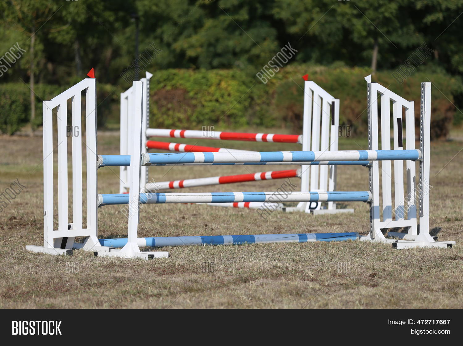 Show Jumping Poles Image & Photo (Free Trial) | Bigstock