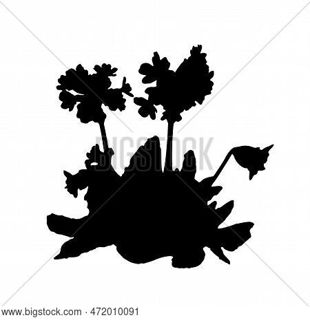 Vector Cowslip (primula Veris) Plant Silhouette Isolated On White Background
