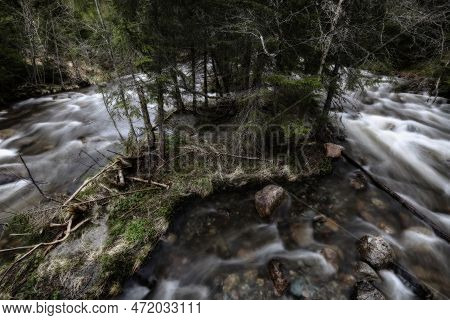 Spring Flood In The Forest