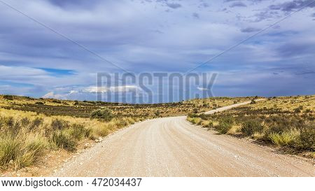 Safari Gravel Road In Scrubland Scenery In Kgalagadi Transfrontier Park, South Africa