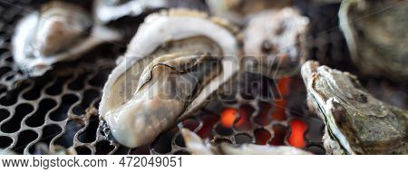 Grilled Fresh Oyster In Taiwan, Famous Street Food.