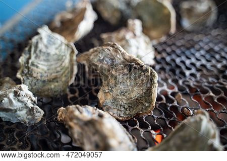 Grilled Fresh Oyster In Taiwan, Famous Street Food.