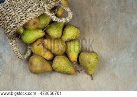 Pears In Basket On A Wooden Background. Fruit Harvest. Autumn Still Life. Pear Variety Bera Conferen