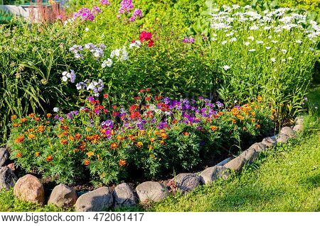 Colorful Phlox, Cosmea Flowers On A Flower Bed On A Sunny Day.floral Wallpaper.park Arrangement Of A