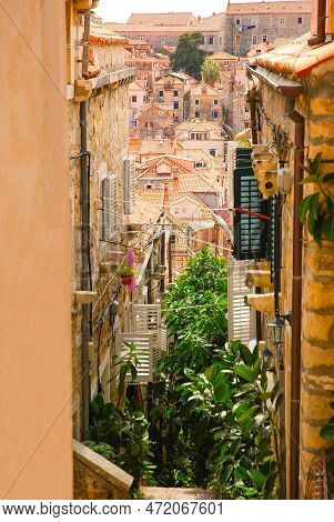 Stone Houses Along A Narrow Street In The Old Town. Stairs Decorated With Ficus Elastica Known As Th
