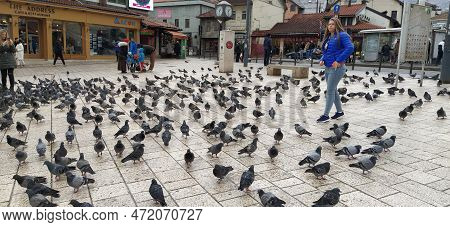 Sarajevo, Bosnia And Herzegovina, March 8, 2020, People Walk The Central Streets Of Sarajevo Feeding