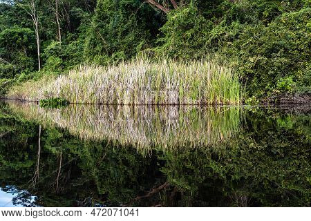 Canoe Tour On The Pantanal Marimbus, Waters Of Many Rivers And Abundant Vegetation, In Andarai, Bahi