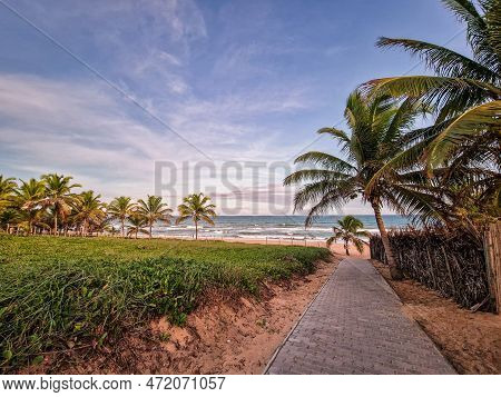 View Of Imbassai Beach, Bahia, Brazil. Beautiful Beach In The Northeast With A River And Palm Trees.