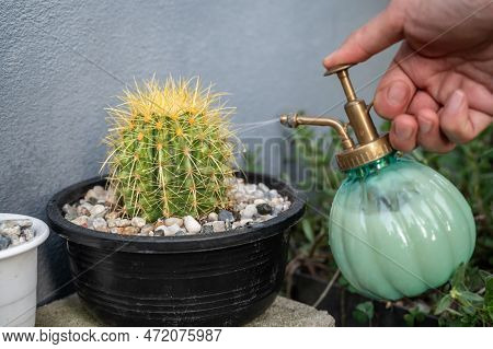 Someone Water A Plant Mix With Captan A Fungicide Used To Control Diseases Of Many Fruit And Ornamen
