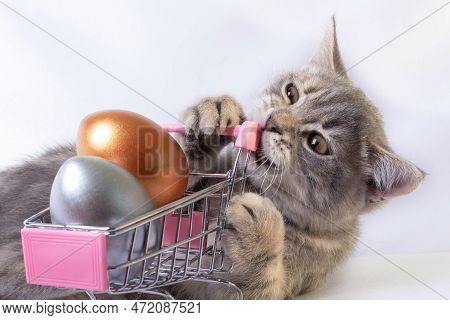 An Emotional Kitten Biting A Cart With Painted Easter Eggs. Easter Sale. A Holiday For Pets. Easter 