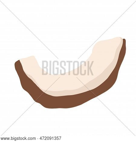 Pieces Of Coconut With Leaves Isolated On White Background. Realistic Vector Illustration
