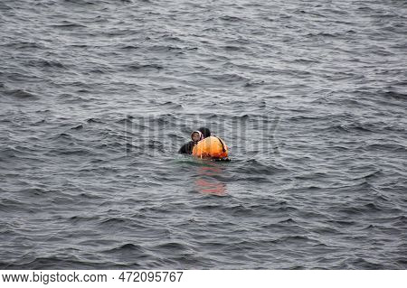 Haenyeo Female Divers Or Haenyo Women Diving Scuba For Keeping Clam Abalone Shells In Underwater In