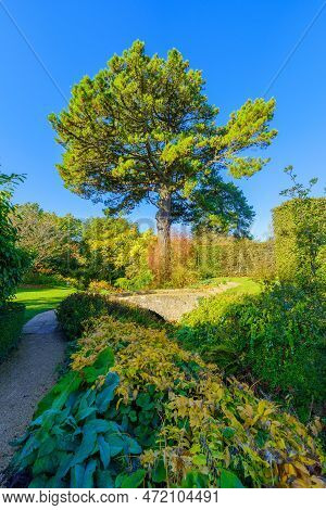 View Of The Hidcote Gardens, In The Cotswolds Region, England, Uk