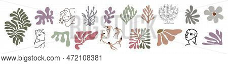 Set Of Abstract Organic Elements Vector Isolated.
