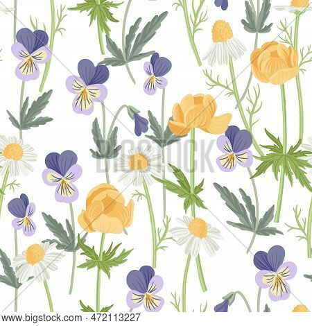 Seamless Pattern With Wild Pansy, Yellow Globeflowerxs And Chamomiles, Field Flowers, Vector Drawing