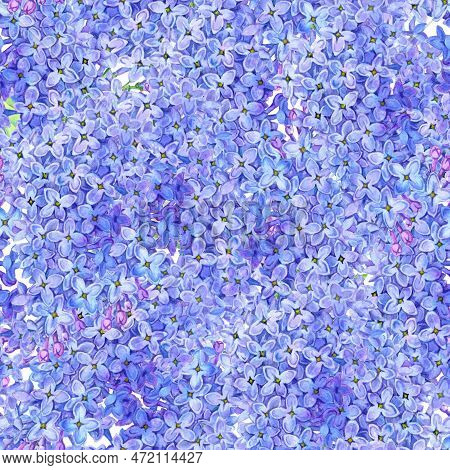 Watercolor Seamless Pattern With Drawing Flowers Of Lilac, Dlue Floral Background, , Hand Drawn Bota