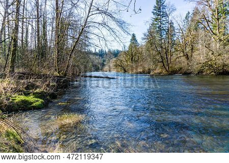 A View In Winter Of The Gren River Near Flaming Geyser State Park In Washington State.