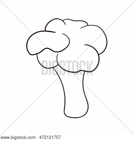 Broccoli Line Icon. Broccoli In Line Art. Broccoli Vector Illustration.