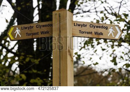 Wood Finger Post Sign For Torrent Walk Or Llwybr Clywedog, Near Dolgellau, Snowdonia, North Wales, U