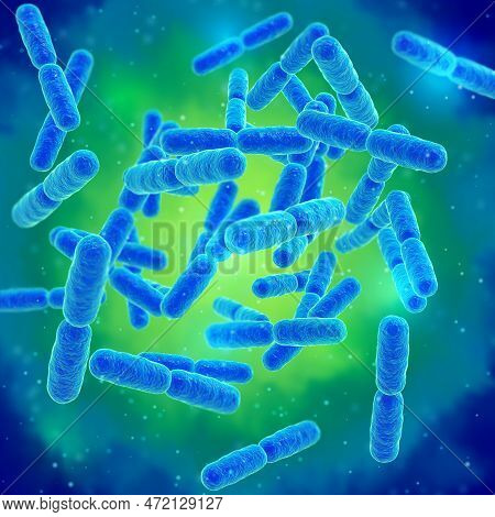 Probiotic Beneficial Bacteria, Normal Intestinal Microflora, Microorganisms Used As Probiotics, Yogh