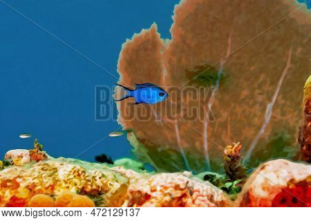 Digitally Created Watercolor Painting Of Blue Chromis Damelfish Chromis Cyanea Swimming Over The Cor