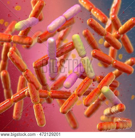 Probiotic Beneficial Bacteria, Normal Intestinal Microflora, Microorganisms Used As Probiotics, Yogh