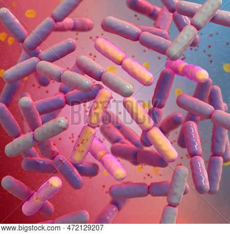Probiotic Beneficial Bacteria, Normal Intestinal Microflora, Microorganisms Used As Probiotics, Yogh