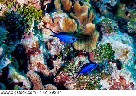 Digitally Created Watercolor Painting Of A Pair Of Blue Chromis Damelfish Chromis Cyanea Swimming Ov