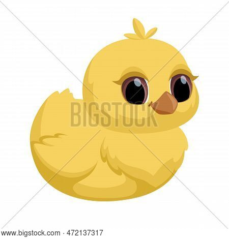 Cute Sitting Chick. Little Cartoon Chicken For Easter And Second Design. Vector Illustration Isolate