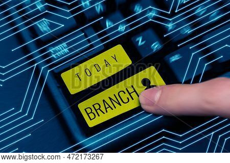Text Showing Inspiration Branch. Business Overview A Part Of A Tree Which Grows Out From The Trunk O