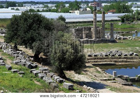 Arbres et ruines