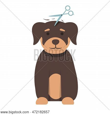 Pet Grooming Icon Cartoon Vector. Dog Spa. Care Salon