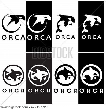Simple Black Orca Whale Animal Illustration Logo Creative Design, Killer Whale, Underwater Animal. L
