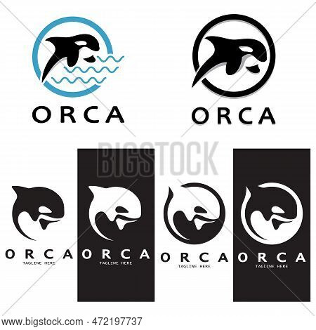 Simple Black Orca Whale Animal Illustration Logo Creative Design, Killer Whale, Underwater Animal. L