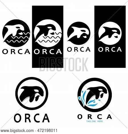 Simple Black Orca Whale Animal Illustration Logo Creative Design, Killer Whale, Underwater Animal. L