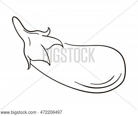 Eggplant In Line Art Style Isolated On White Backgound.