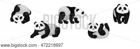 Black White Giant Vector & Photo (Free Trial) | Bigstock
