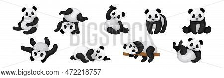 Black White Giant Vector & Photo (Free Trial) | Bigstock