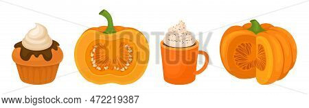 Pumpkin Dish And Food With Ripe Bright Orange Crop Vector Set
