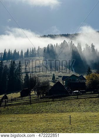 Beautiful View Of The Forest Through The Wooden Fence