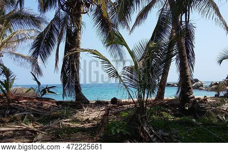 Beautiful Landscape Of The Beach Seen From The Forest In Colombia. Excellent Place For Diving, Tayro