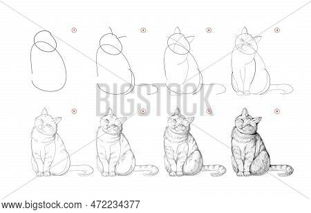 Page Shows How To Learn To Draw Sketch Of Cute Cat. Pencil Drawing Lessons. Educational Page For Art