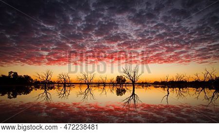 Sunrise Over A Lake With Pink Clouds, Tree Silhouettes And Reflections In The Australian Outback