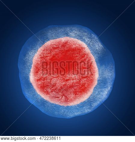 Cryopreservation Of Genetic Material. Ovum In Ice On Blue Background